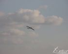 DSC_0118.JPG